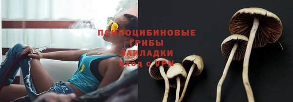 гашишное масло Белокуриха