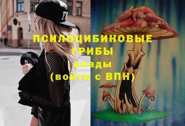 Альфа ПВП Беломорск